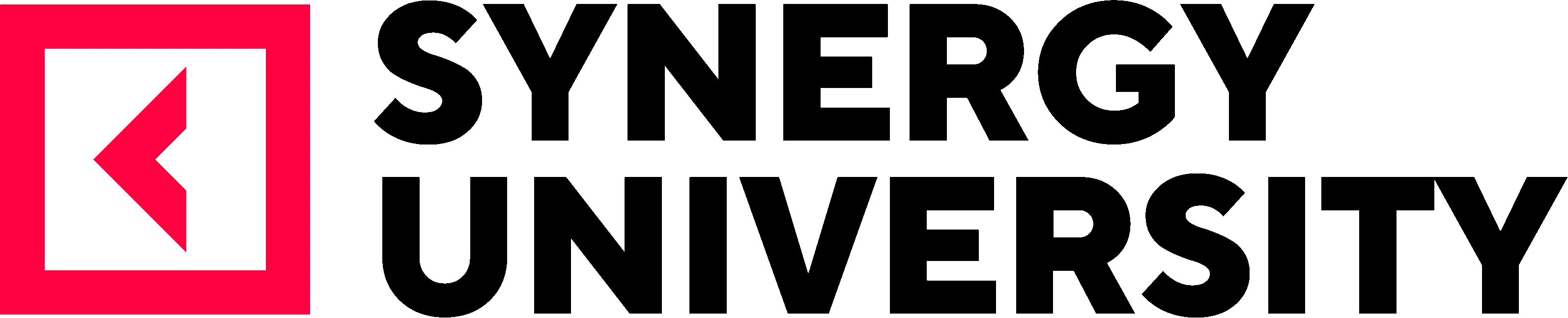 Synergy University